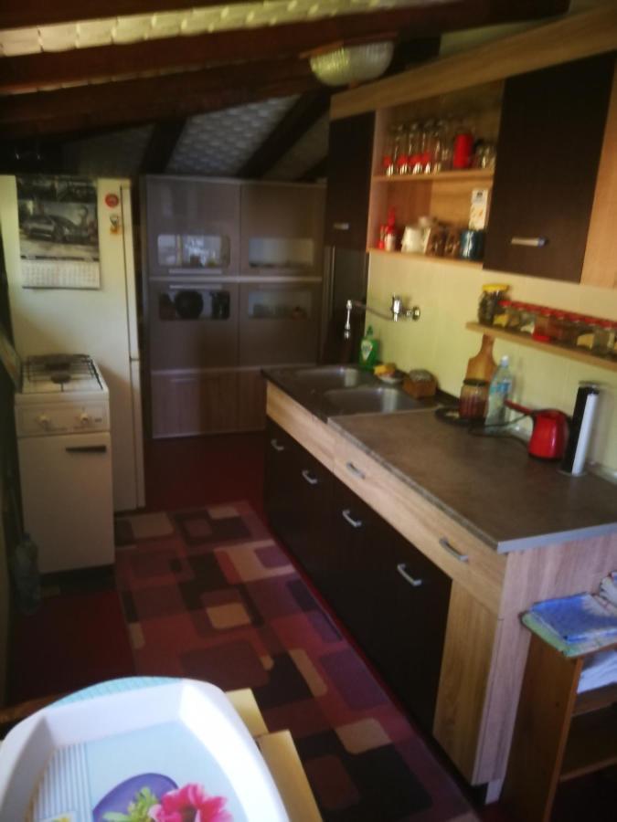 Porodica MARKOVIC Beljevina Esterno foto