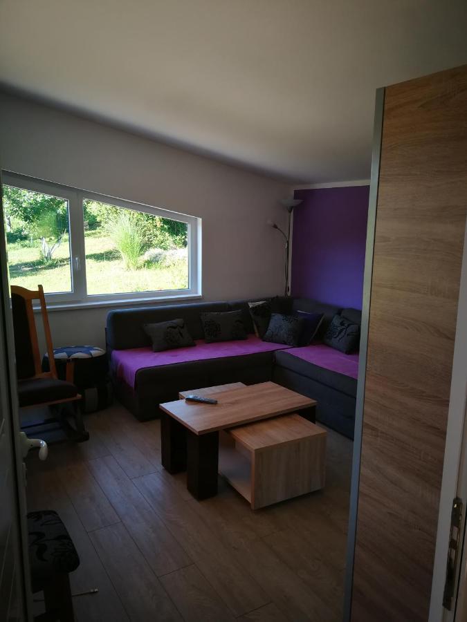 Porodica MARKOVIC Beljevina Esterno foto